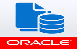 Oracle数据库管理工具有哪些?-北京乐投线上平台,乐玩（中国）公司