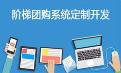 拼购电商系统APP软件定制开发、什么是拼购系统？-乐投线上平台,乐玩（中国）