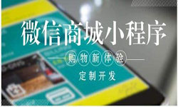 商城小程序开发、北京小程序开发哪家好？-乐投线上平台,乐玩（中国）