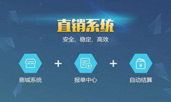 手机直销系统乐投线上平台,乐玩（中国）价格-北京软件外包公司