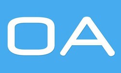 软件外包公司、OA系统开发功能有哪些？费用是多少-乐投线上平台,乐玩（中国）公司[乐投线上平台,乐玩（中国）]