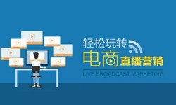 乐投线上平台,乐玩（中国）公司、做一个直播系统乐投线上平台,乐玩（中国）需要多少钱-北京软件外包公司