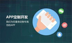 乐投线上平台,乐玩（中国）公司、高质量的乐投线上平台,乐玩（中国）系统是怎么开发出来的？-北京软件外包