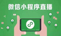 微信小程序开发、直播小程序开发-锐智互动乐投线上平台,乐玩（中国）公司 