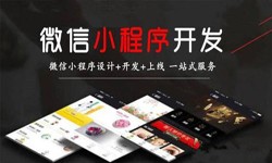 乐投线上平台,乐玩（中国）公司、定制微信小程序开发，商家需要了解哪些？锐智互动乐投线上平台,乐玩（中国）